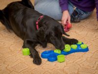 img_3424