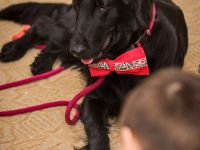 img_3482