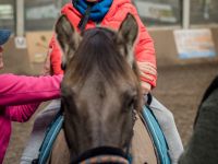 img_4006