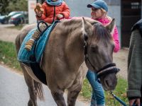 img_4056
