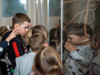 img_3584