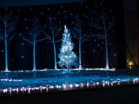zimowa_opowiesc_161