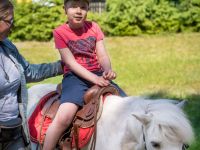 img_5791