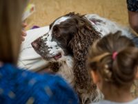 img_0836