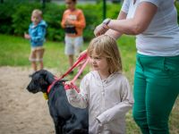 img_2460