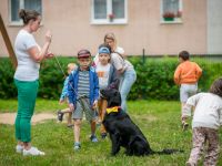 img_2471