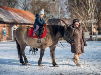 img_4126