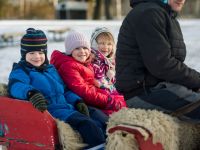 img_4144