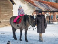 img_4151