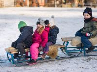img_4156