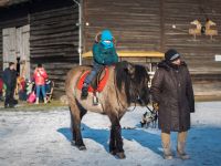 img_4173
