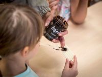 img_9406